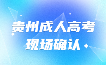 2024年貴州成人高考現場確認